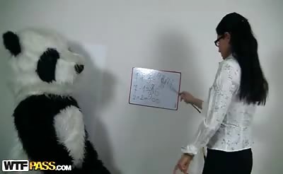 Sexy teacher for horny Panda bear